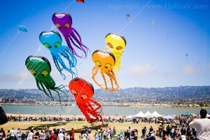 berkeley-kite-festival-san-francisco-bay-area-photography-4